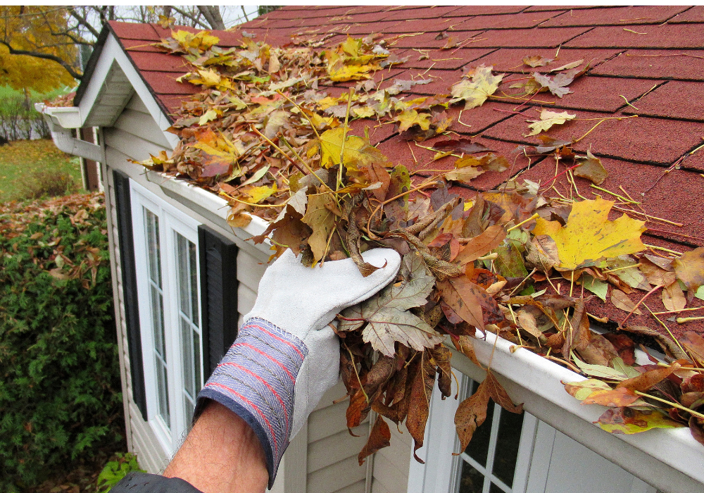 Preventive roof maintenance and inspection services in South Florida RainShield Roofing